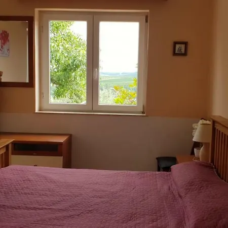 House Lela Buje
